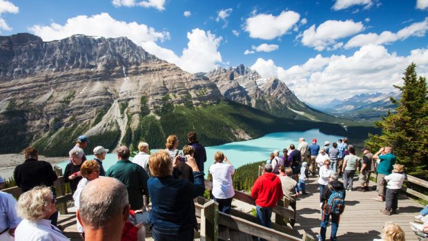 Tourists overlooking the stunningly beautiful Peyto Lake.