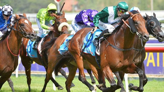 Easy does it: Dwayne Dunn urges All Too Hard to the line to win the group 1 Orr Stakes at Caulfield.