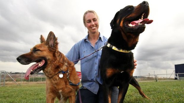 The RSPCA is looking for a new home for two dogs that have recovered from injuries after being abused by their old owner.