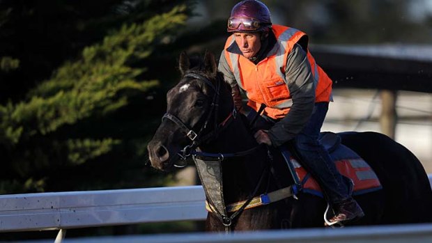 Back in the saddle: Damien Oliver at Leon Corstens' facility at Romsey on Monday.