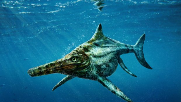 The newly identified prehistoric marine reptile Dearcmhara shawcrossi.