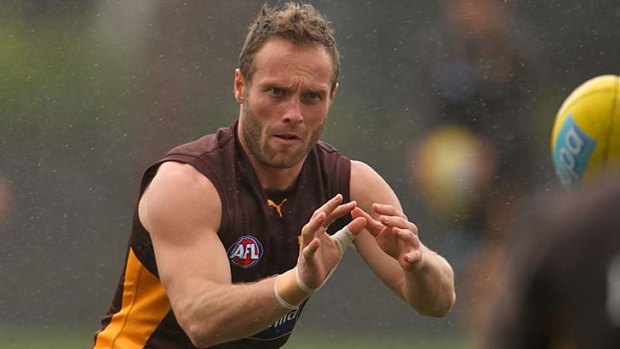 Rare Hawk: Brad Sewell performs at a consistently high level for Hawthorn week-in and week-out.