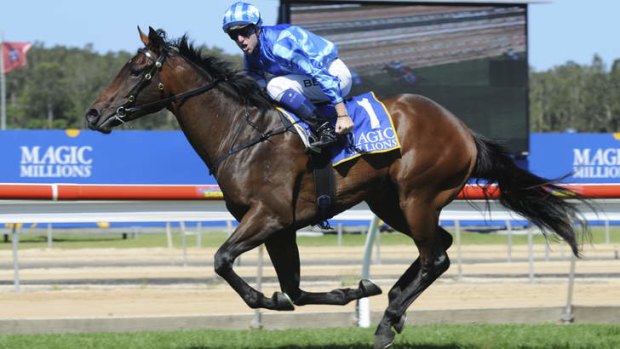 Magic Millions favourite Unencumbered will be hard to beat this weekend.