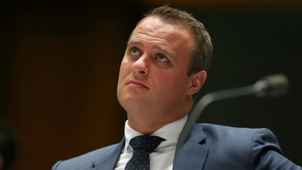 Tim Wilson has nominated for Liberal preselection in Goldstein.