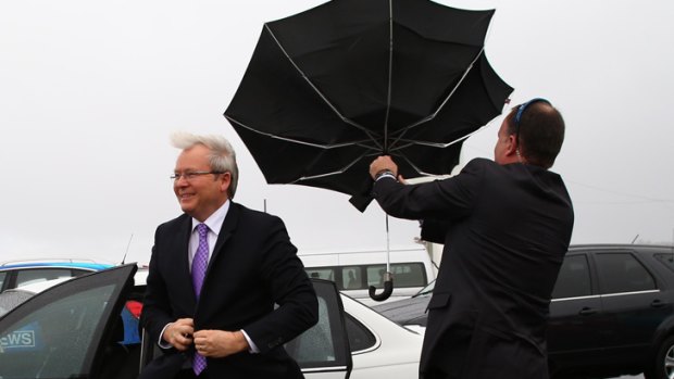 Not the hair! Kevin Rudd is blown about on the campaign trail in Hobart.