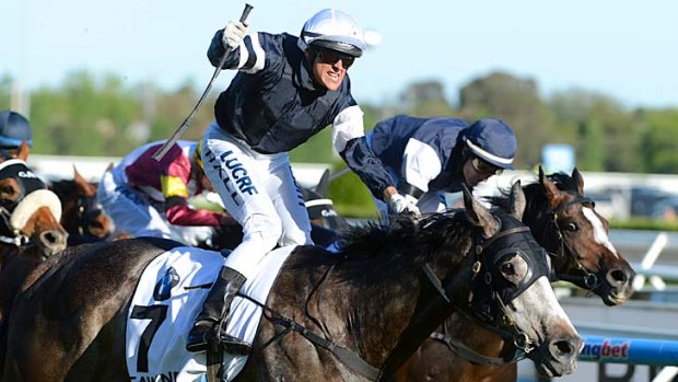 That winning feeling ... Fawkner, ridden by Nicholas Hall, claims the Caulfield Cup.