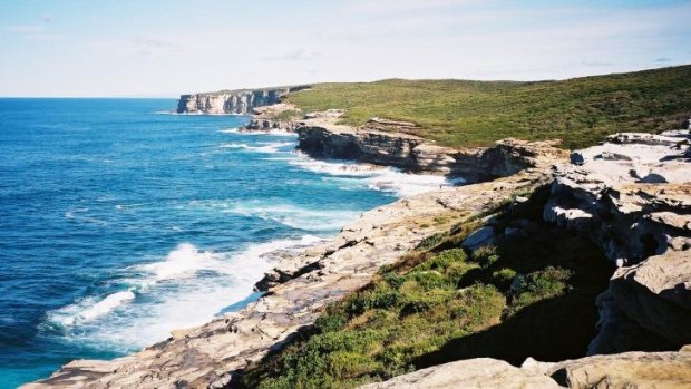 The Coast Track in Royal National Park.