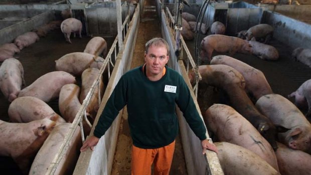 Before oink was dry &#8230; Kenton Shaw said Rivalea decided in 2007 to phase out stalls to avoid being ''left behind''.