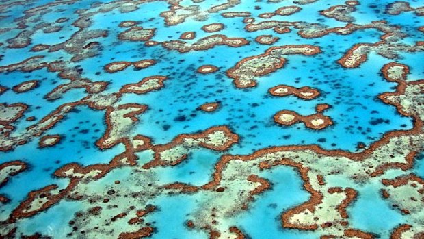 Heritage listing: Coral reefs surrounding Heron Island on the southern Great Barrier Reef.