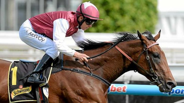 Never headed: Guelph, with Kerrin McEvoy on board, eases to the post in the group 1 Thousand Guineas at Caulfield.