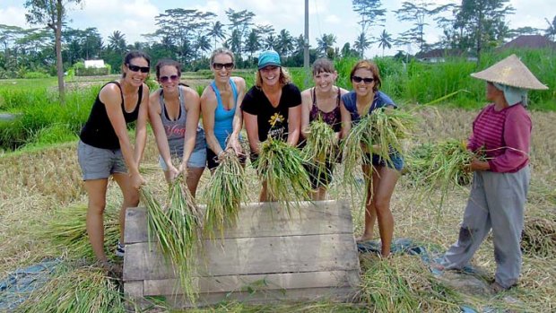 Up and at 'em: guests visit a rice field during a bike tour.