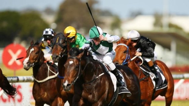 Penalty reduced: Josh Parr and Cluster, pictured here scoring at Rosehill last month, are set to reunite after the jockey's four-meeting suspension was reduced.