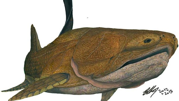 The 419-million-year-old fish from the placoderm family had a complex lower jaw structure..