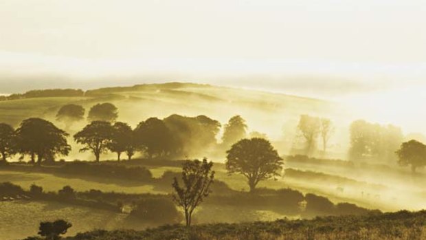 Mists of time ... Coleridge country in Somerset.