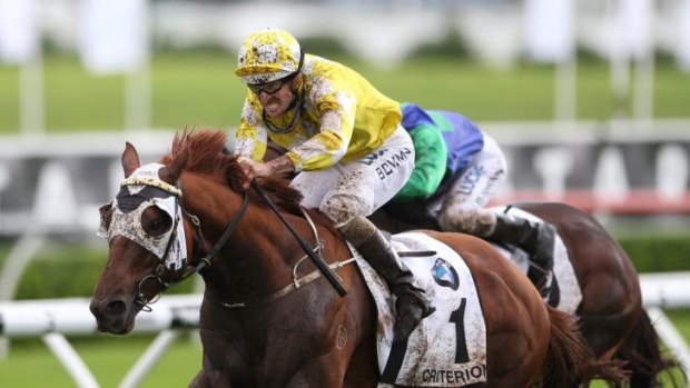 Tough test: Saturday's Hill Stakes will be a strong pointer to Criterion's Cox Plate chance.