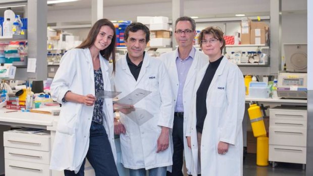 Breakthrough: Breast cancer researchers Delphine Merino, Francois Vaillant, Geoff Lindeman and Jane Visvader.