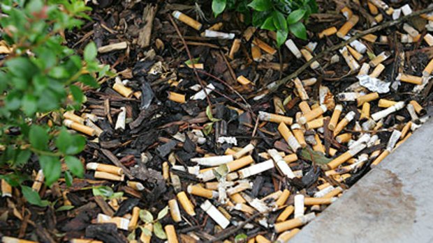 Litterbug smokers have helped make Queensland's rubbish problem worse than the Australian national average.