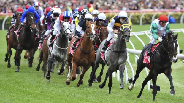 The 2011 Melbourne cup field at the first turn at Flemington.