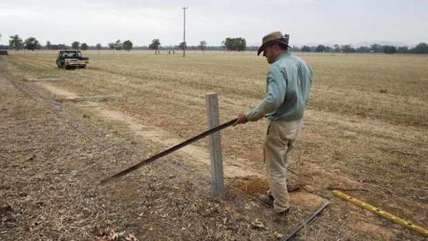 Paul Hickey on his non-irrigated farm.