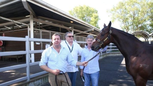 Special one: Mick Malone, Neil Werrett and Max Whitby with Golden Slipper hope Cornrow earlier this week.