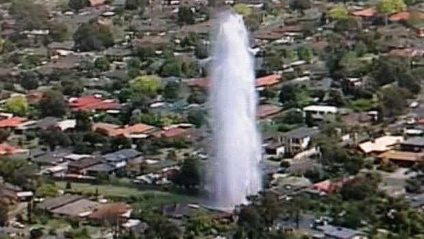 Water from the burst main shoots high into the air, showering homes in Glen Waverley.