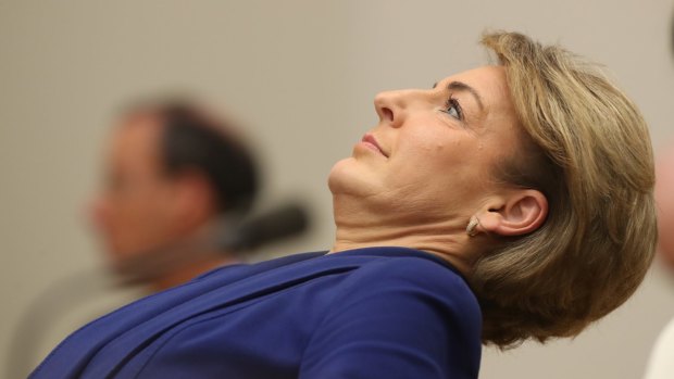 Employment Minister Michaelia Cash under fire during the estimates hearing. 