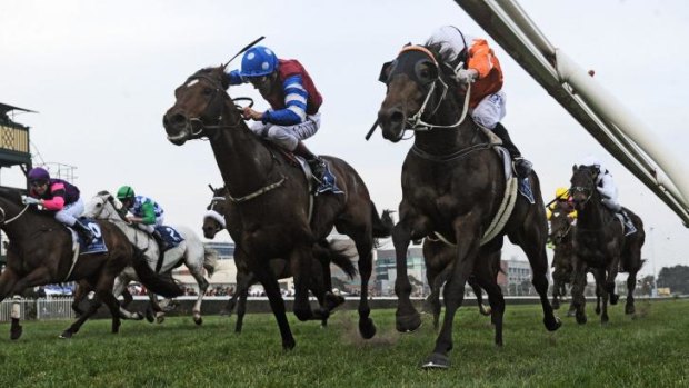 Stephen Baster and Star Rolling (right) take out the Lawrence Stakes at Caulfield on Saturday.