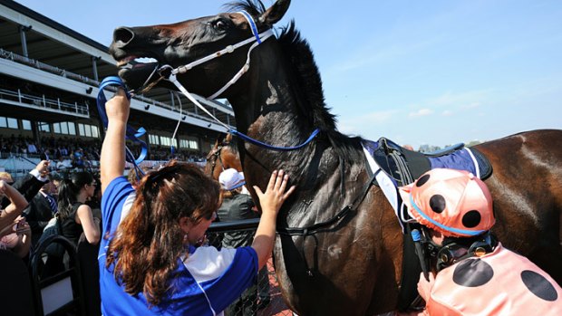 Crowd's delight: Black Caviar and jockey Luke Nolen after the win in the Lightning Stakes.