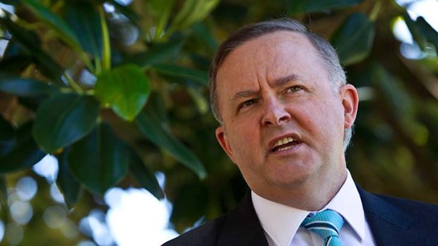 Anthony Albanese has encouraged Prime Minister Tony Abbott to bite the bullet on the decision on the location for Sydney's second airport.