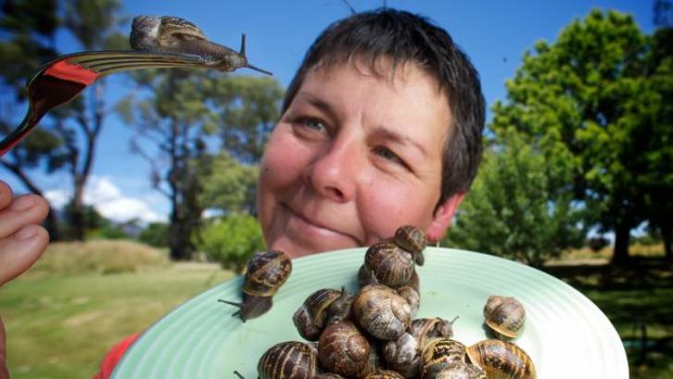 Yarra Valley Snails' Robyn Schrader with some of the snails from her Taggerty farm.