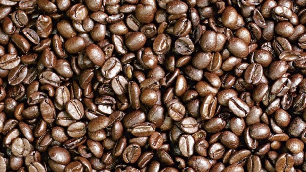 Coffee could soon fuel cars.