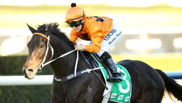 Under the radar: Sound Proposition ready to cause a shock in Saturday's Epsom Handicap at Randwick. 