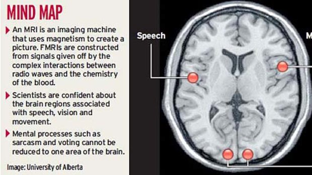 Rolling debate ... experts are undecided about what brain scans can reveal.