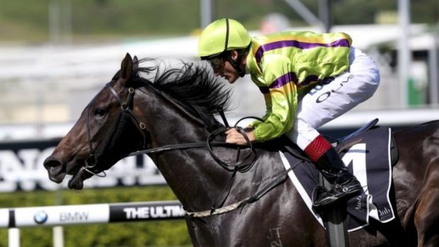 Champaigne effort: Damien Oliver and Veuvelicious win the Fernhill Handicap at Randwick on Saturday.