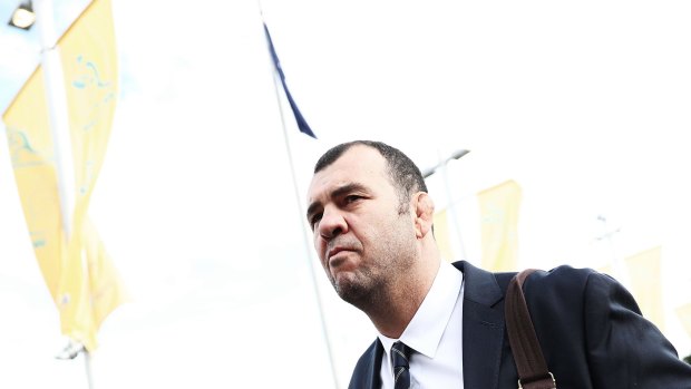Ambition: Wallabies head coach Michael Cheika is backing his players to beat the All Blacks. 