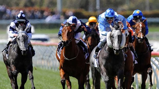 Nicholas Hall takes Instinction to victory in the Weekend Hussler Stakes.