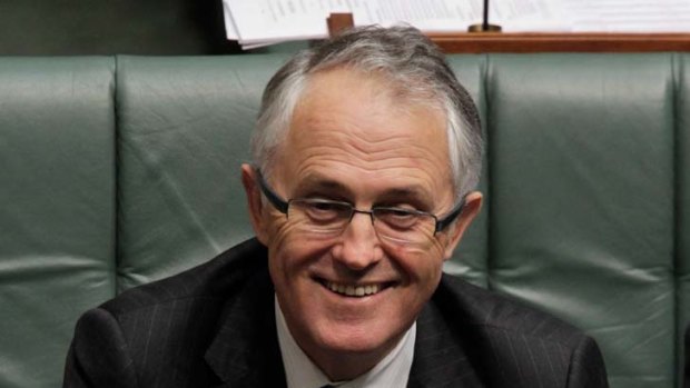 Malcolm Turnbull ... 29 per cent of voters would prefer him to the current PM.
