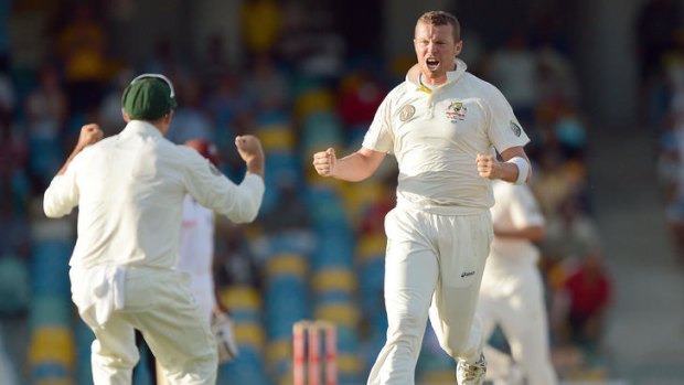 On top ... Australian bowler Peter Siddle celebrates after dismissing West Indies batsman Darren Bravo.