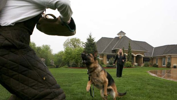 Julia, a protection dog, works with a trainer.