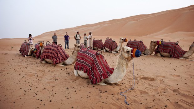 Photo one: Camel trek.