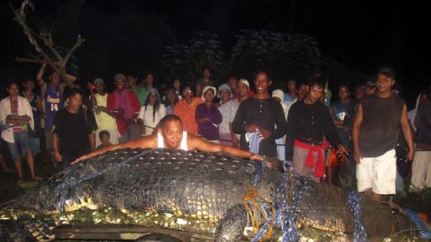 Confirmed ... Guinness World Records declares that the huge saltwater crocodile caught in the southern Philippines last year is the largest in captivity in the world.