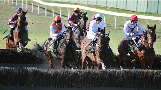 The Grand Annual Steeplechase field clears the first of the Tozer Road Double, the second time around. Winner Banna Strand is still well back in the middle with the orange cap.