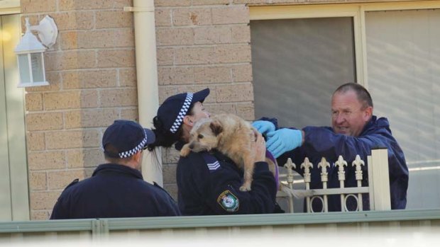 Examining the house ... police and forensic officers remove a dog from the residence.