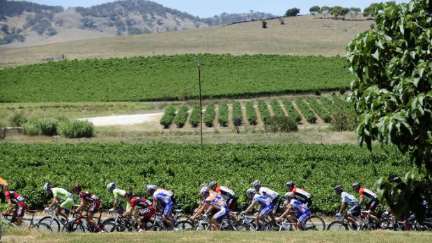 Wine and wheels ... the Tour Down Under lets spectators combine cycling and fine tipples.