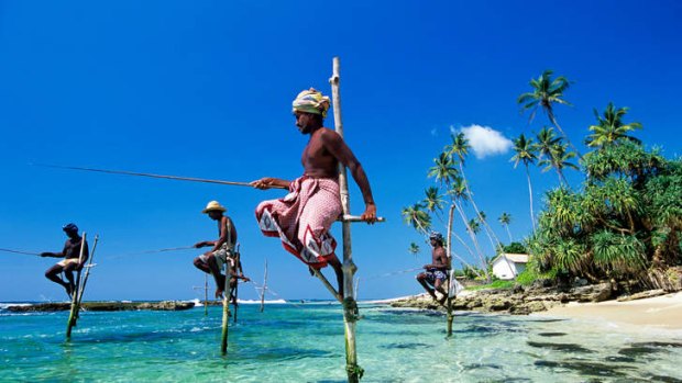 Stilt fishermen in Sri Lanka.