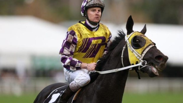 Worth the trip: Zac Purton on Sacred Falls after they won the Doncaster Mile in the autumn.