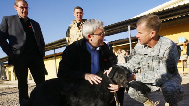Kevin Rudd and US commander General Stanley McChrystal pat Sabi.
