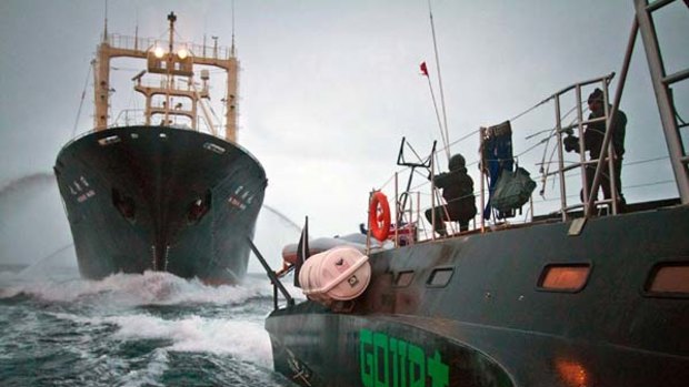 Thar she goes ... a Sea Shepherd vessel harasses the Nisshin Maru.