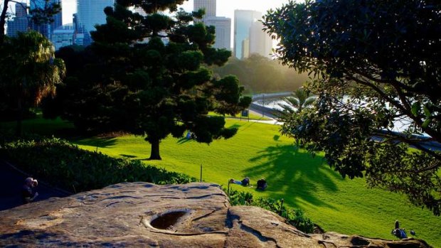 Impending operations merger: The Sydney Royal Botanic Gardens.
