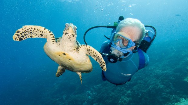 Jean-Michel Cousteau gets up close and personal with a hawksbill turtle in Paupa New Guinea.